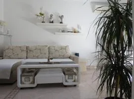 Eco friendly apartment