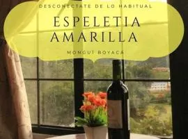 Hostal Espeletia Amarilla