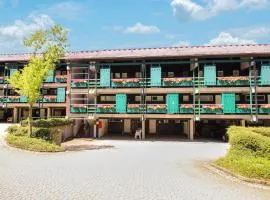 Awesome Apartment In Sasbachwalden With Indoor Swimming Pool, Sauna And Wifi