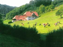 Comfortable holiday home in a beautiful location: Hofstetten şehrinde bir otel