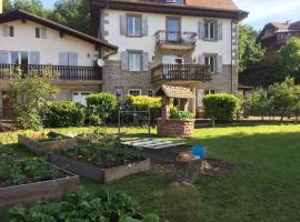 Aux Gîtes de l'Étang - Thannenkirch Bergheim, hotel in Thannenkirch