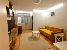 Studio Prisaca Dornei