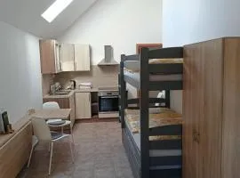 Apartmán a vinný sklep - Víno Gallus