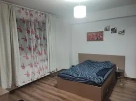 Center CT, 5min to Neversea