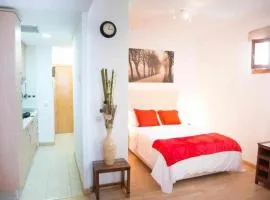 Un ideal estudio para conocer Madrid