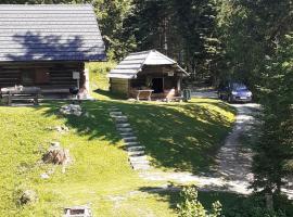 Brunarica na Goreljeku, Pokljuka