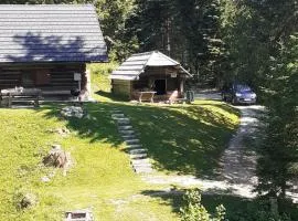 Brunarica na Goreljeku
