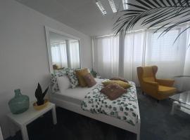 Business Sleeping Place, apartment in Rolle
