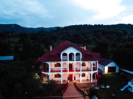 Casa cu Elefanți, Hotel mit Pools in Corbşori