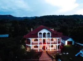 Casa cu Elefanți