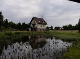 Willa nad stawem