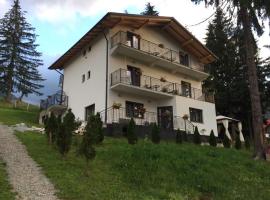 Casa dintre Brazi, hotel cerca de Cascada de los Caballos, Statiunea Borsa