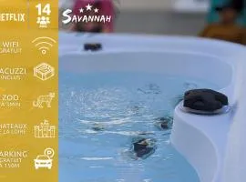 ''Le Savannah'' - Jacuzzi - A 3min du Zoo de Beauval