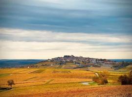 Gite Entre vignes et Loire โรงแรมในThauvenay