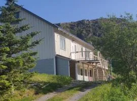 Apartment at Lofoten. Mølnarodden.