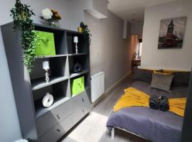 Cosy Studio Wembley Stadium Gem, alquiler vacacional en Wembley