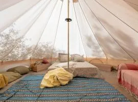 Romance Tent In The Eucaliptus