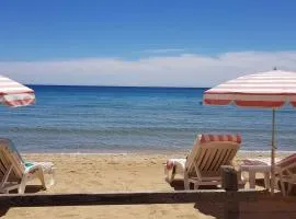 T3 climatisé avec jardin à 200 m de la plage - FR-1-100-249