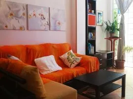 Apartamentos del Toro