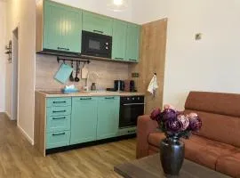 Štýlový apartmán A409 v centre NR, parkovanie v cene