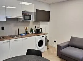 Perfect studio 14 H center Rotterdam