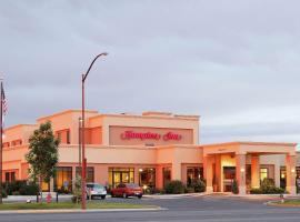 Hampton Inn by Hilton Montrose、モントローズのホテル