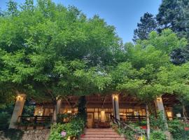 Guesthouse Alberti Llogara, guest house in Shalë