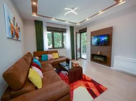 Pine 1 apartment in the center