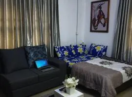 One Bedroom Furnished apartment