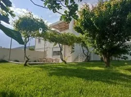 Dimitra - Kattavia surf houses