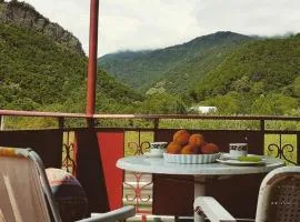 Guest house Racha