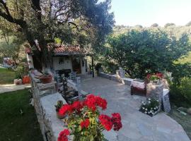 Vasilis' kalivi, hotel em Skiathos