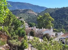 CASA DE FLORES