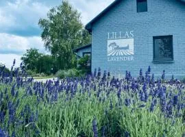 LillasLavender Kurzeme