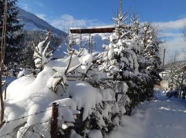 Cabana Bradut Borsa, casă de vacanță din Borşa