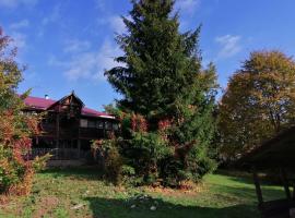 Na Wyraju, pet-friendly hotel in Trzcianka