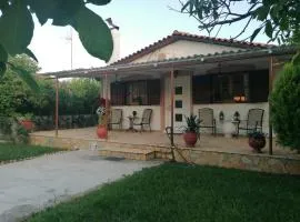 Tota's Family House