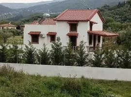Αναστασία