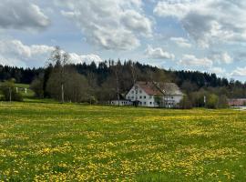 Zum Bayrischen Wirt, hotel in Maierhöfen