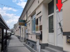 Zen Apartment, alquiler vacacional en Sighetu Marmaţiei