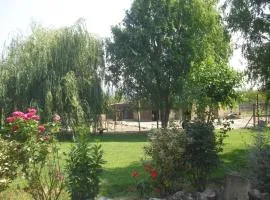 Lou mas li Pitchoun "Le Prunier "