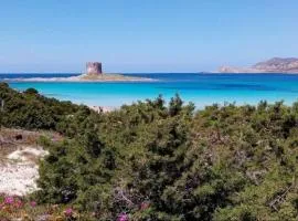 ClickSardegna Villa Regina Stintino sea view with pool and garden