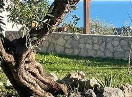 Tenuta Solleone