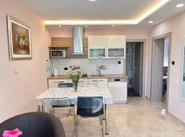 Apartment Pančur