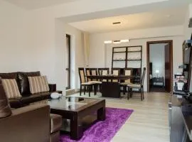 Panoramic Loft Colina Marei