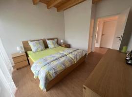 Schwarze Eule Ferienwohnung – hotel w mieście Beckingen