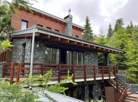 Bazalt Wellness Villa, holiday rental in Harghita-Băi