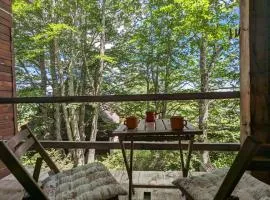 Apartments Nikcevic Zabljak