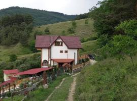 Vila Victoria, cabaña o casa de campo en Pangarati