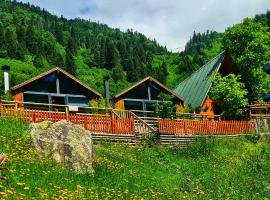 Yayla Bungalov, hôtel à Ayder Yaylasi